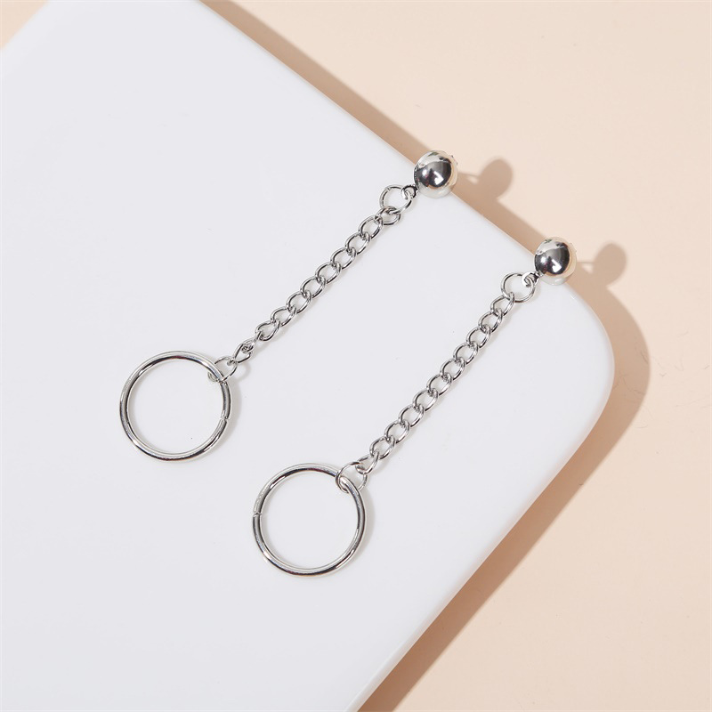 Retro Long Round Chain Earrings display picture 3