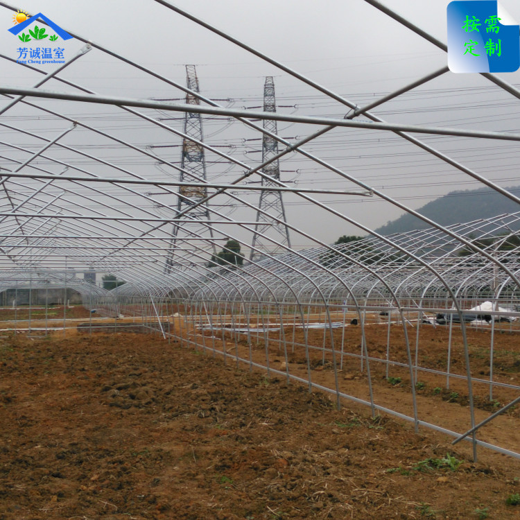大棚骨架(3)