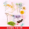 Teacher's Day Lover Eternal Flower Flower Materials Package Flower Art DIY Mixed Flower Card Card