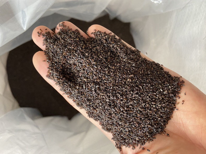 Plantago Seed Che Qian Zi Dried Whole Seeds 500g for Culinary and Traditional Herbal Use in use
