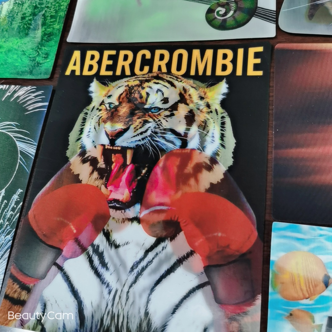 厂家销售硅胶3D烫画印花标三维光栅背胶立体软胶TPU3D热转移烫标