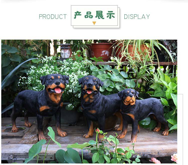 罗威纳犬_14.jpg