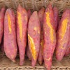 sweet potato Fresh Chestnut sweet potato SWEETHEART Farm Red Hong potato Sweet potato Potato 10 Catty sweet potato