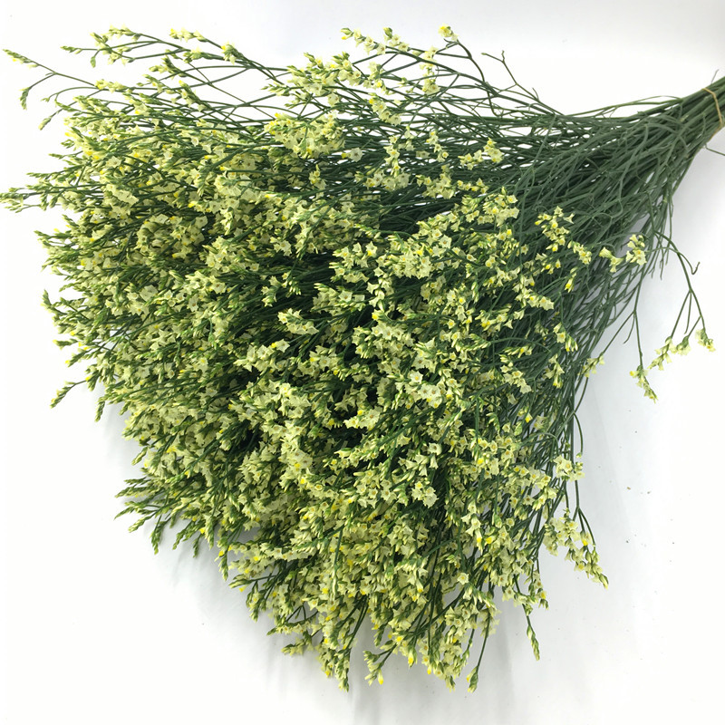 TB2wIX9dSB0XKJjSZFsXXaxfpXa_!!