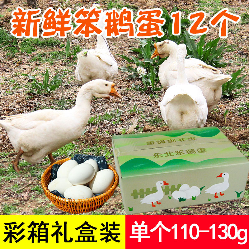 新鮮農家鵝蛋12枚裝包郵 散養笨鵝蛋孕婦東北特産端午節送禮盒