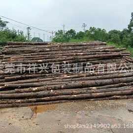 ！批发直销各种规格尺寸长度松木桩河道整治利器松树桩实木原木