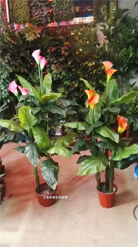 定制仿真白掌仿真巴西铁仿真榕树仿真吊兰办公装饰装饰仿真花