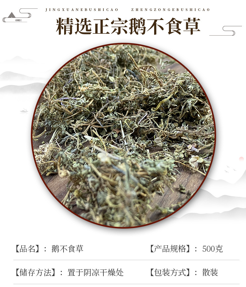 Dried Centipeda Herb E Bu Shi Cao Whole Plant 500g Natural Sun Dried Traditional Chinese Herb key features