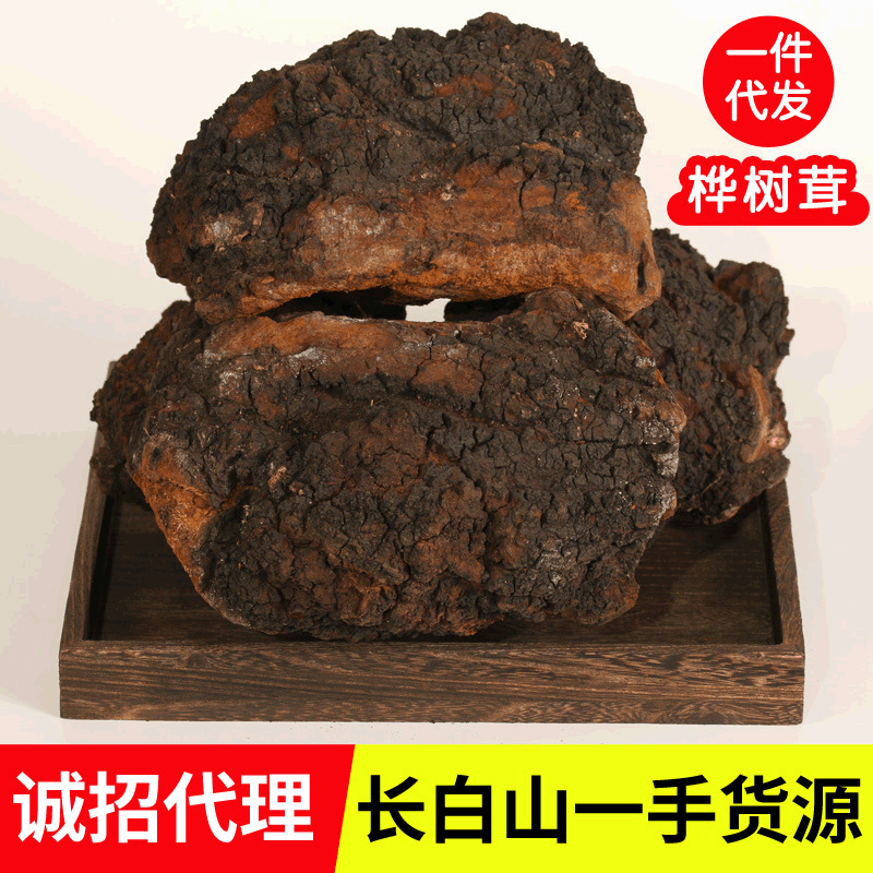 产地直供长白山桦树茸 白桦茸 桦褐孔菌 非俄罗斯进口招代理|ms