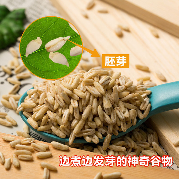 Yinshan Youmai organic oats 500g (aluminum foil)