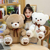 lovely Silk ribbon Baby Bear Doll Pillows Send his girlfriend Valentine's Day gift Sitting Teddy Bear Plush Toys wholesale