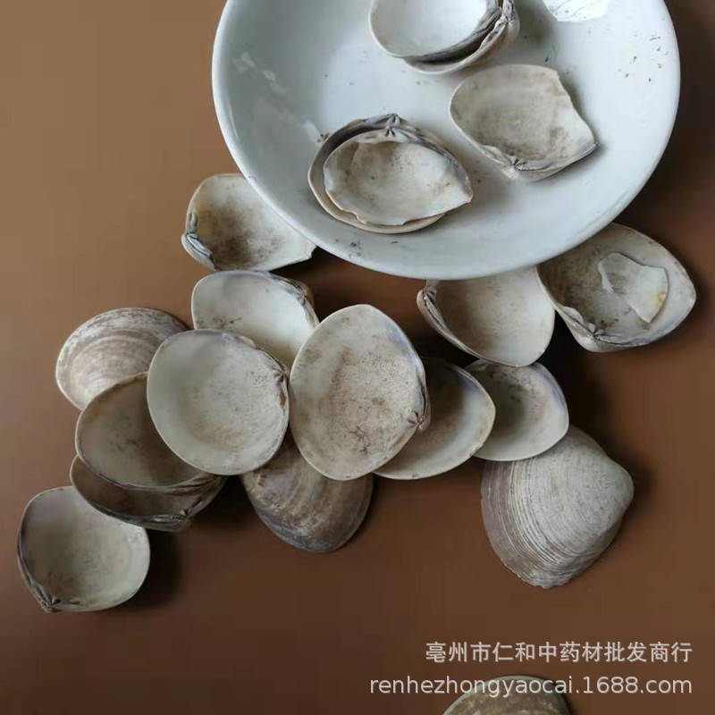 Sea Clam Shell Hai Ge Ke Dried Herbal Ingredient 500g for Culinary and Traditional Use quality and texture