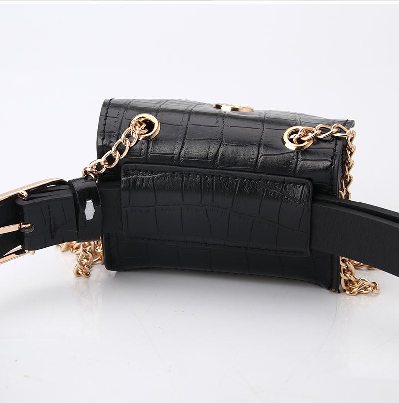 Fashion Leopard Belt Bag Mini Chain Bag  All-match Clothing Belt display picture 2