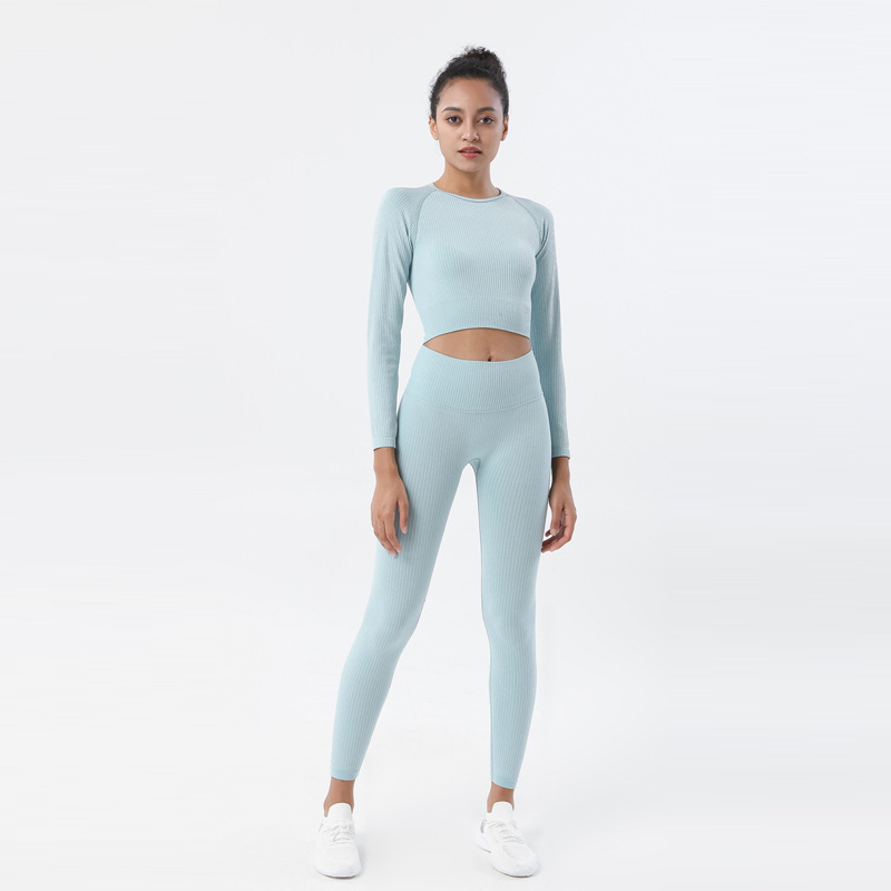 Nuevo europeo y americano Amazon pantalones de yoga de punto sin costuras traje de fitness nylon de secado rápido traje de yoga traje de manga larga mujeres