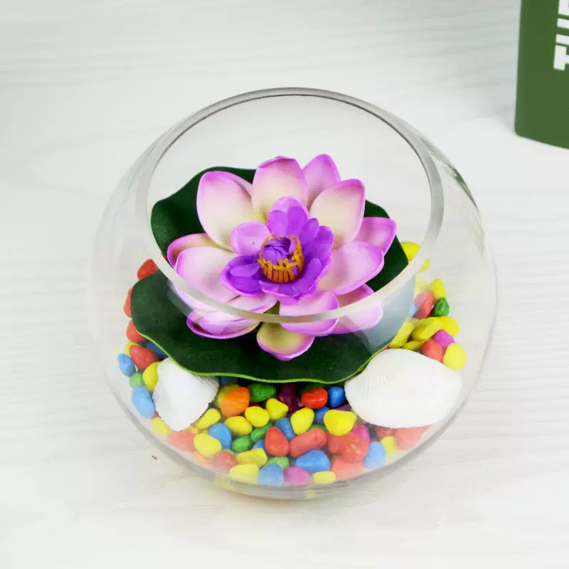 批发透明玻璃小型小号圆形圆球鱼缸 水培多肉玻璃花瓶园艺花卉