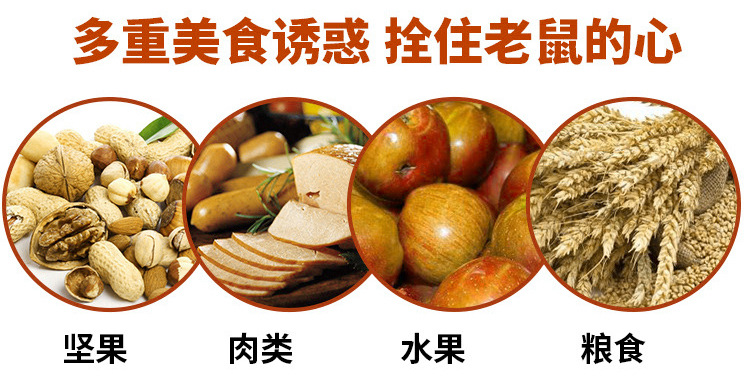 16478415016_1236613469