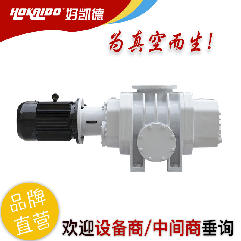 德国好凯德Hokaido罗茨泵 容积率高可靠性好罗茨式真空泵
