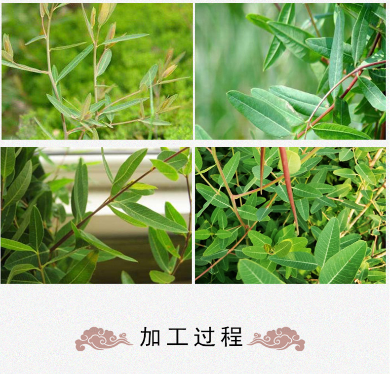 Luo Bu Ma Tea Apocynum Leaf Tea 500g Loose Dried Luobuma Herbal Tea from Xinjiang specifications