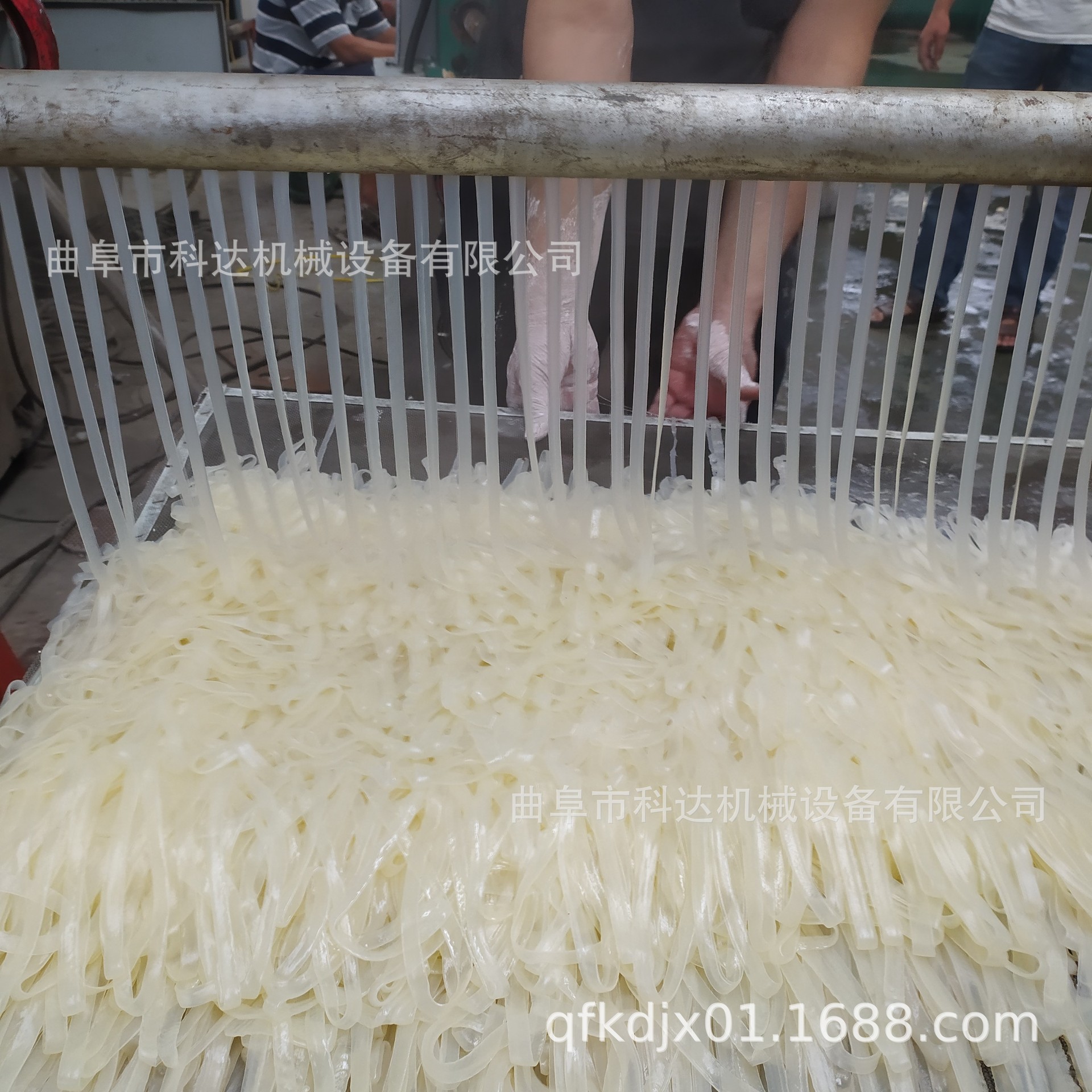 免搓洗电热蒸汽煮浆红薯粉条机现货kdhx不锈钢网带式芭蕉芋粉条机