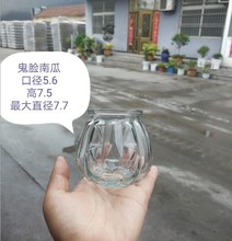 久隆批发鬼脸南瓜瓶 玻璃瓶 水培瓶花瓶创意玻璃瓶 可喷色配麻绳