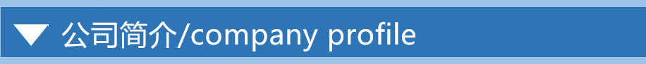 公司介绍_副本