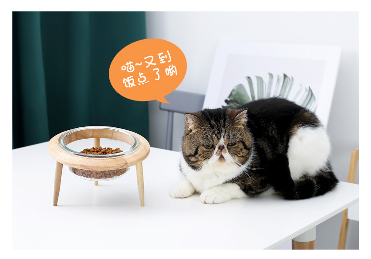 玻璃飞碟猫碗_15.jpg