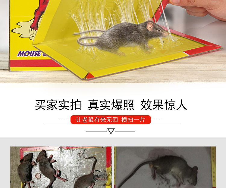 捕鼠版_02.jpg