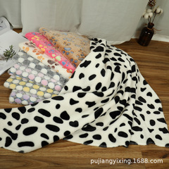Pet Blanket for Autumn/Winter Warmth, Thick Coral Fleece Dog and Cat Blanket, Manufacturer's Wholesale Pet Supplies