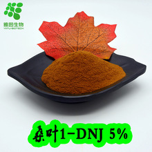 桑叶1-DNJ 5% 雅图生物 桑叶提取物 脱氧野尻霉素 品质保证 包邮