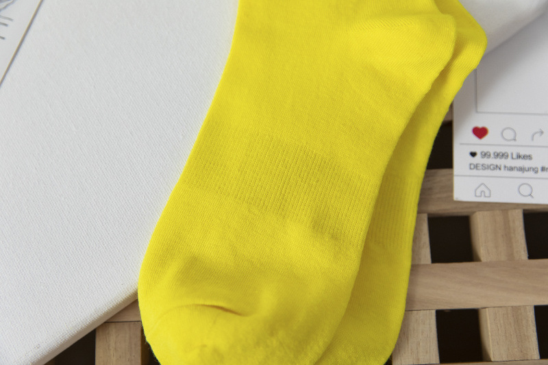 20217767319 502738861