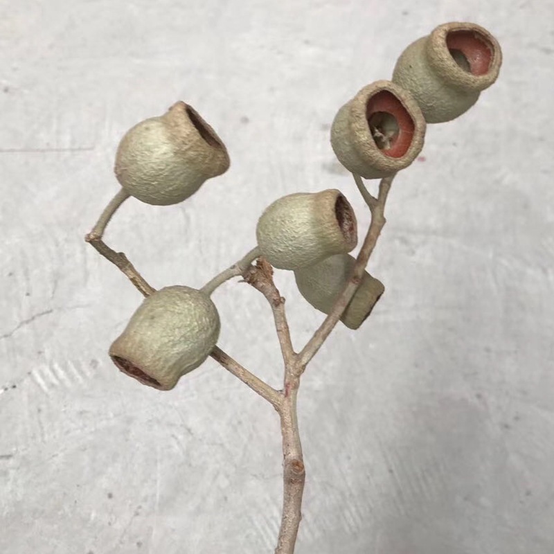 微信图片_20200416133949