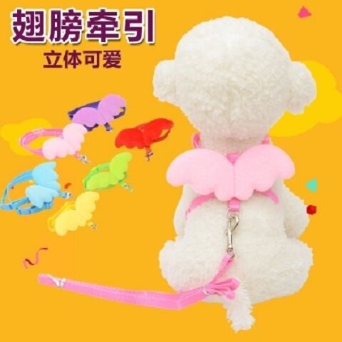 Pet Angel Love Leash Dog Leash Angel Wings Harness Rabbit Pet Products Factory