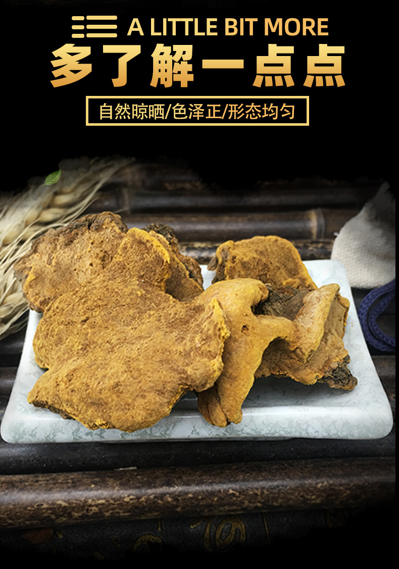 Sang Huang Mulberry Yellow Fungus Loose Dried Phellinus for Traditional Herbal Decoction 500g key features
