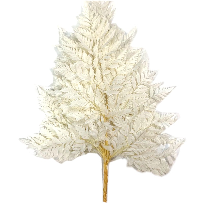 微信图片_20200420134449