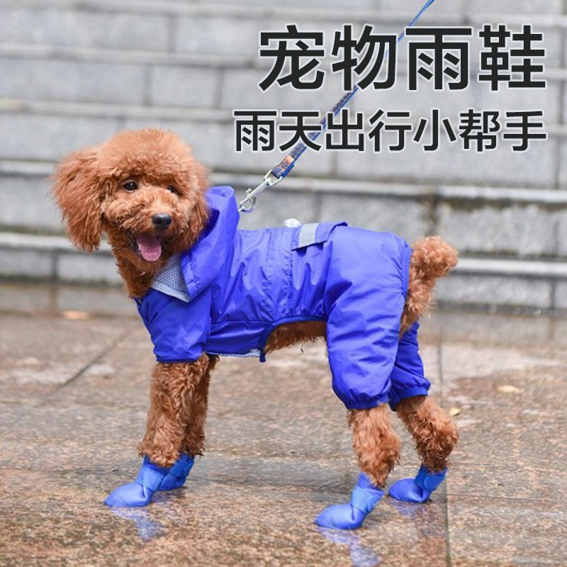 主图12.jpg