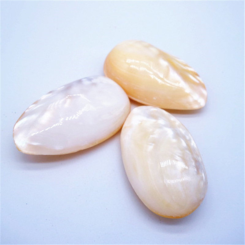 貝殼工藝品 小貝殼小珍珠貝 景區地攤旅遊紀念品家居擺設魚缸造景