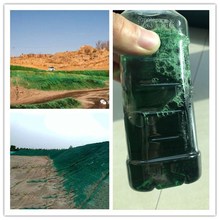 ú̿։m Bص·։m Yh։m