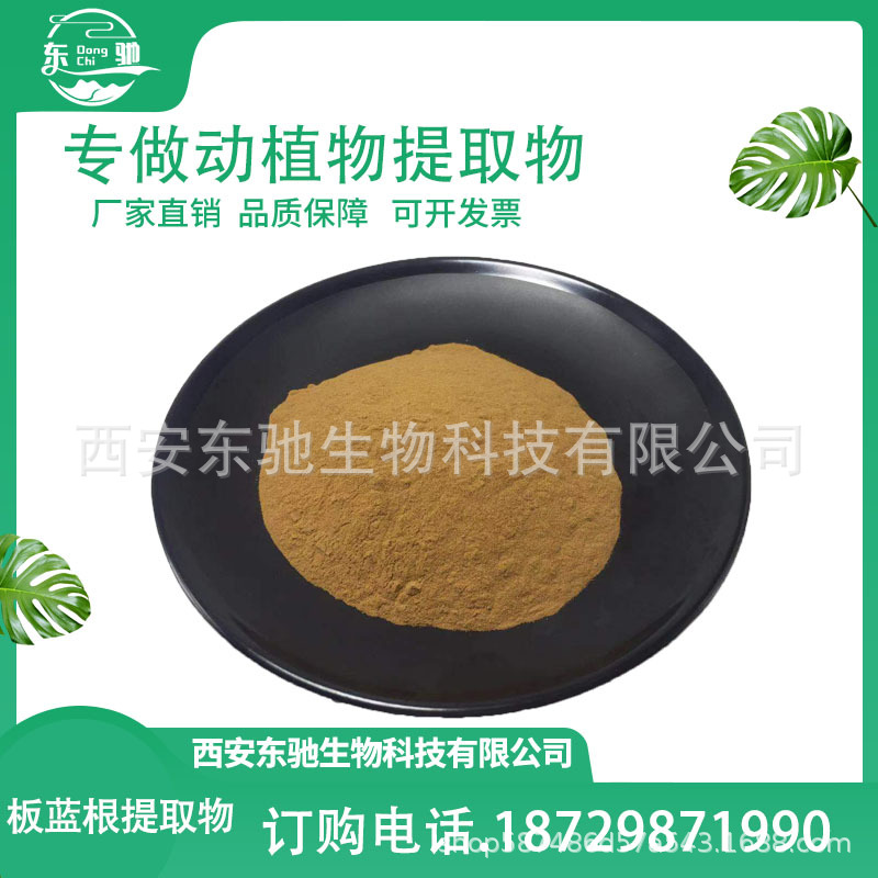 板蓝根提取物     水溶性比例  板蓝根粉   现货包邮多酚