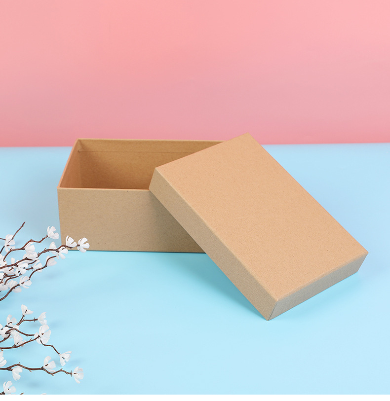 手提-袋--恢复的-恢复的_10