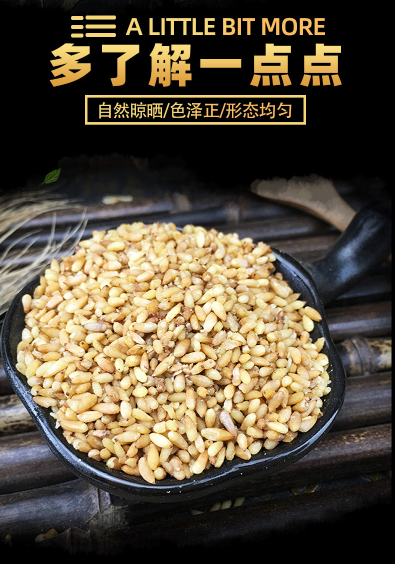 Dried Platycladus Seed Bai Zi Ren Bulk Whole Seeds Traditional Herbal Ingredient 500g key features