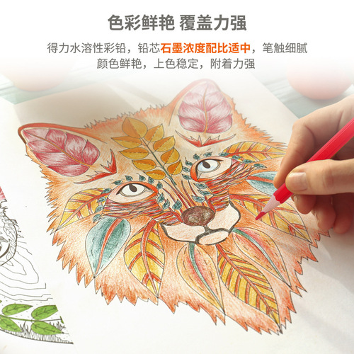 Deli 7071 series colored pencils water-soluble colored pencil brushes for children and students painting pencil set