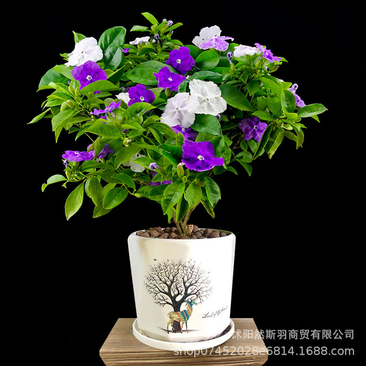 QQ图片20200802183346