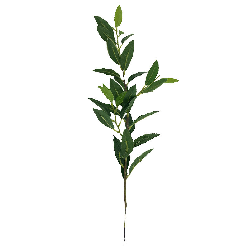 XRB-130 单枝大白茶叶3.jpg