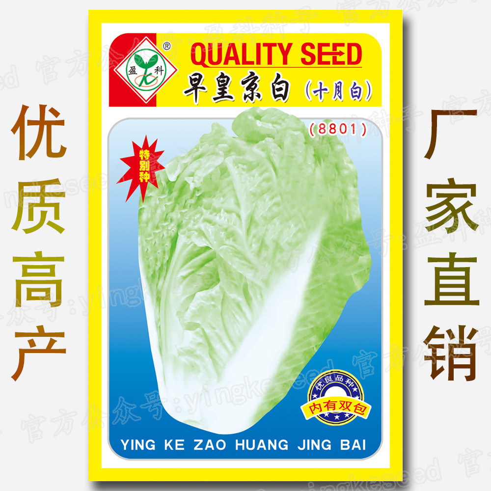 早皇白图片,早图片大全图片 - 伤感说说吧