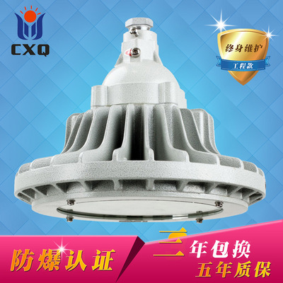 BAD52 engineering explosion-proof emergency lamp 50W Industry Stations explosion-proof Cast light Shell die-casting BAD55