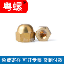 ���NҎ�������w����ĸ����&mdash;�w��ĸ ��ˮ�~��ĸ �A�^�S�~��ĸ����