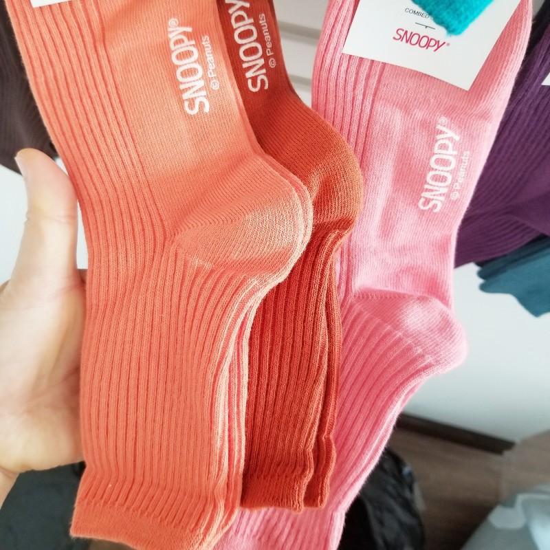 2025d Korean Dongdaemun Solid Autumn Winter Ribbed Colorful Style Short Ins Trend Candy Color Women's Socks Soc_voghion.com