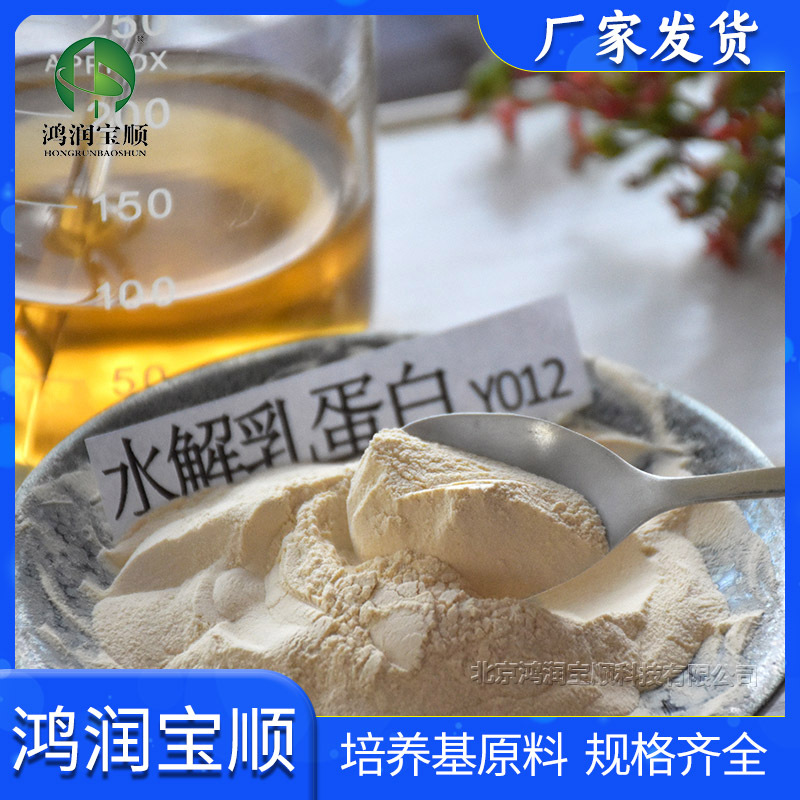 水解乳蛋白Y012  实验用品 BR培养基北京鸿润宝顺 生物试剂|ms
