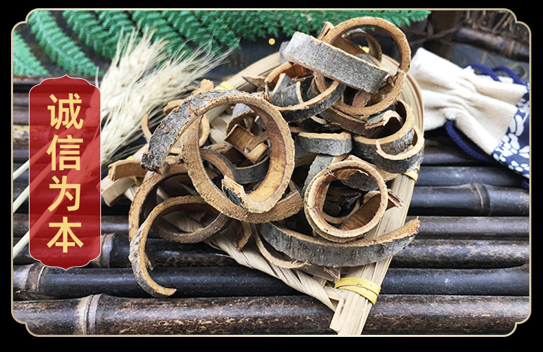 Qin Pi Chinese Ash Bark Dried Fraxinus Rhynchophylla Traditional Herbal Decoction Pieces 1 Jin 500g in use