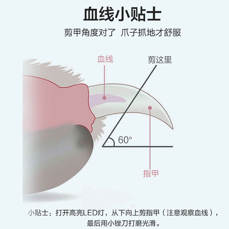 Pet cortaúñas cabeza redonda con amoladora de uñas gato cortaúñas perro belleza cortaúñas LED luz gato cortaúñas